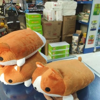 Gấu bông Corgi