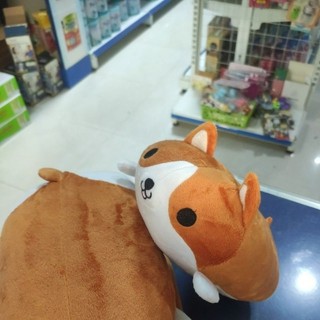 Gấu bông Corgi