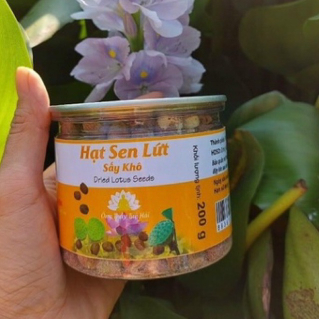 Hạt sen lứt  Quy Nguyên Thầy Tuệ Hải 200gram