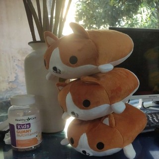 Gấu bông Corgi