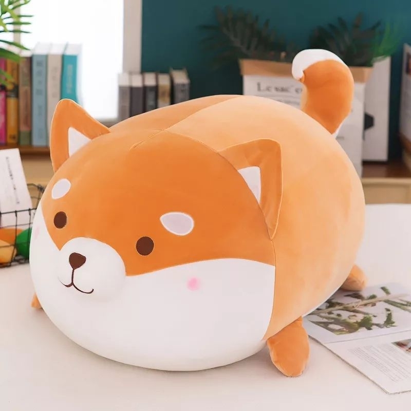 Gấu bông Corgi
