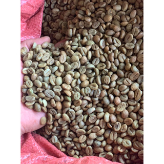 [Sỉ Cửa Hàng] Cà phê robusta nhân sống chưa rang, caffee nguyên liệu sạch tây nguyên[1kg]