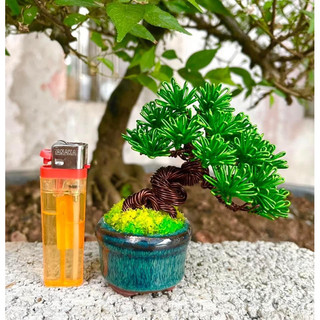 Chậu mini gốm bát tràng đất nung sen đá bonsai mini