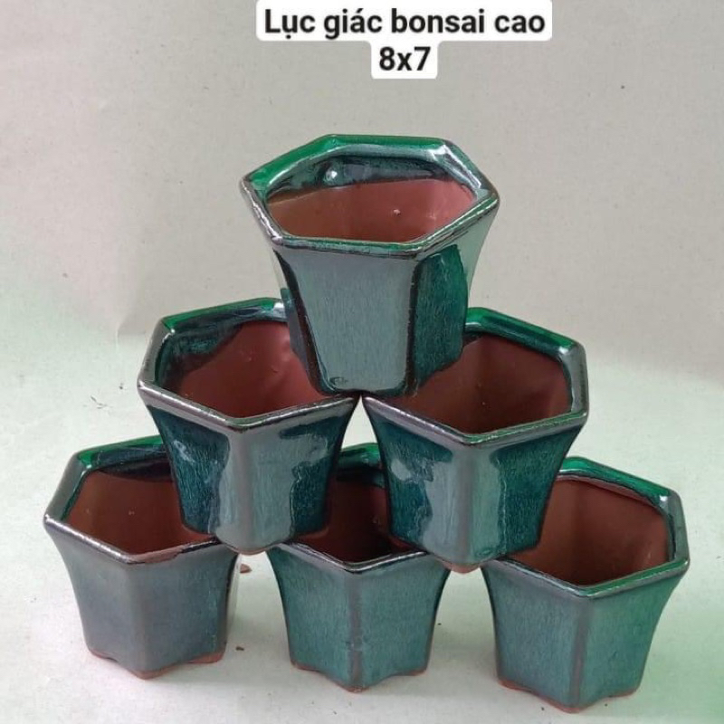 Chậu mini gốm bát tràng đất nung sen đá bonsai mini