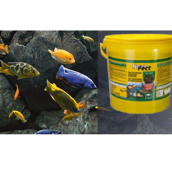 Novo fect - Thức ăn viên dán chứa tảo cho bể cá thủy sinh JBL Đức