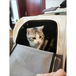 Túi ba lô vận chuyển mèo