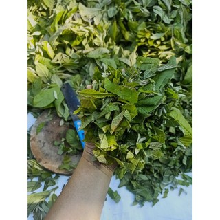 2KG LÁ ỔI NON CẮT NHỎ PHƠI KHÔ- LÁ LỤA