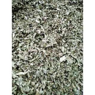 2KG LÁ ỔI NON CẮT NHỎ PHƠI KHÔ- LÁ LỤA