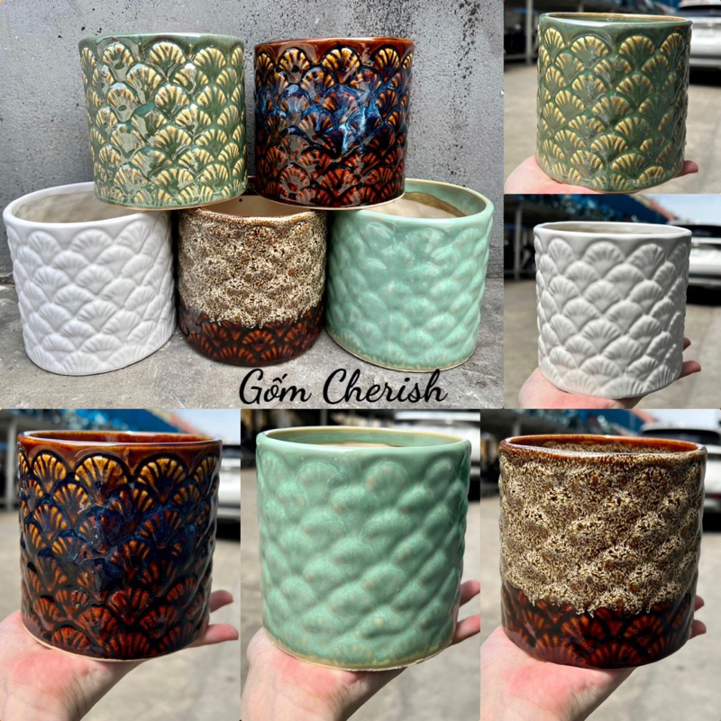 Chậu trồng cây cảnh (11x12cm) sen đá xương rồng, dáng trụ lá tùng