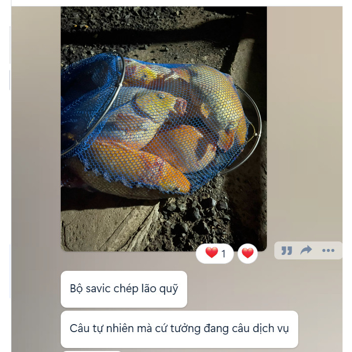 Hương liệu Câu Cá Tổng Hợp Siêu Nhạy Sữa Mẫu Trư Savic  - Vũ Môn Fishing