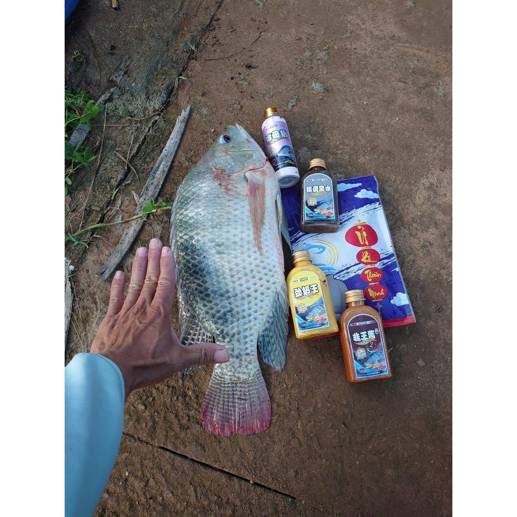 Hương liệu Câu Cá Tổng Hợp Siêu Nhạy Sữa Mẫu Trư Savic  - Vũ Môn Fishing