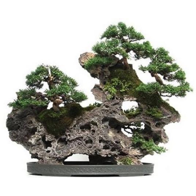 Đá Tai Mèo 1Kg Size 4 viên trang trí tiểu cảnh,bể cá,ghép đá bonsai ,Bonsai Handmade 17, Bonsai mini để bàn,bonsai