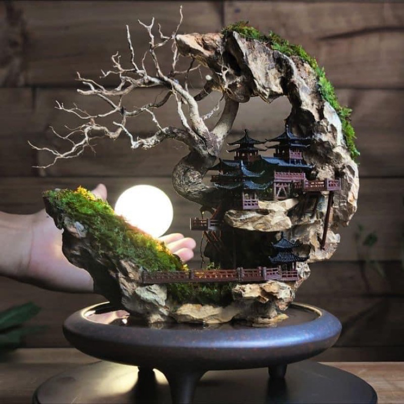 Đá Tai Mèo 1Kg Size 4 viên trang trí tiểu cảnh,bể cá,ghép đá bonsai ,Bonsai Handmade 17, Bonsai mini để bàn,bonsai