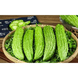 Hạt giống mướp đắng cao sản
