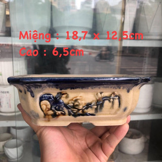 Chậu bonsai mini BT giả cổ