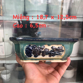 Chậu bonsai mini BT giả cổ