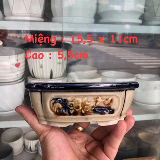 Chậu bonsai mini BT giả cổ