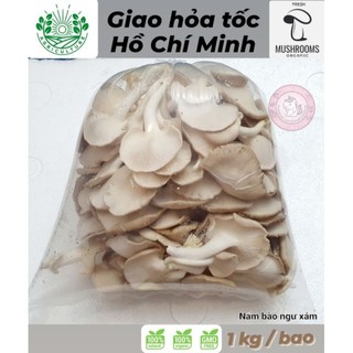 🍄 Nấm Bào Ngư Xám Tươi / Grey Oyster Mushroom 🇻🇳 1 Kg (Ngăn Mát/Chiller) - giao hỏa tốc Hồ Chí Minh