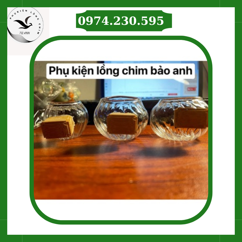 CÓNG THỦY TINH XƯỞNG LỒNG CHIM BẢO ANH, PHỤ KIỆN LỒNG CHIM XOẮN ỐC TAI TRE ĐẸP CHO CHÀO MÀO, KHUYÊN, MI LOẠI 1