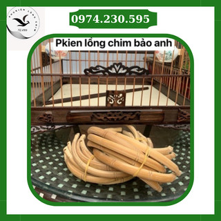 Cầu góc cho lồng chim chào mào Xưởng Lồng Chim Bảo Anh, Phụ kiện lồng chim chích chòe chất liệu tre già chống mọt