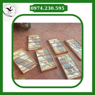 Khung lồng lực gỗ nan cáp cho chim chào mào Xưởng Lồng Chim Bảo Anh, Lồng tre già/trúc già siêu dễ ráp - chắc chắn