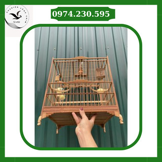Khung lồng chim chào mào tre già cửa báng sung - siêu đẹp - tặng dầu ủ lồng