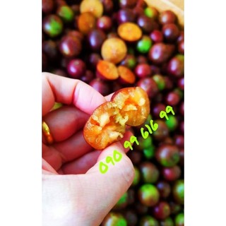 TRÁI HỒNG QUÂN (mận quân, bồ quân) núi lâu năm chất lượng ngon,hái mỗi ngày.Đặt hái lẻ từ 5kg