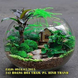 T01 - Bể cá mini tròn để bàn, chậu thủy tinh trồng cây thủy sinh, chậu thủy tinh trang trí