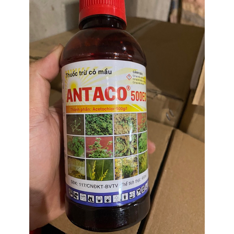 ANTACO 500EC Trừ mầm trên cạn