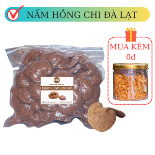 Nấm linh chi đỏ Đà Lạt cao cấp CNV 500g x 2 (Hồng chi đà lạt)