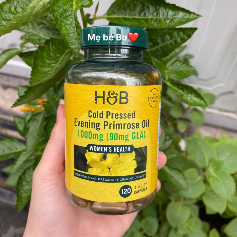 Viên hoa anh thảo Holland & Barret  Anh quốc UK 120viên