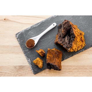 Nấm Chaga nguyên tảng 1kg