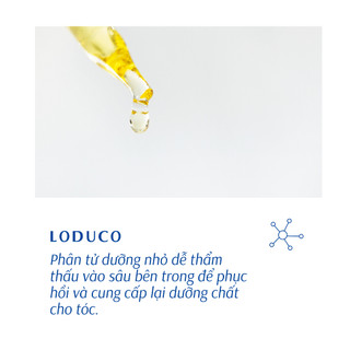 Tinh chất phục hồi tóc L8 LODUCO 100ml