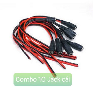 [Combo 5] Jack đực, Jack cái DC loại tốt