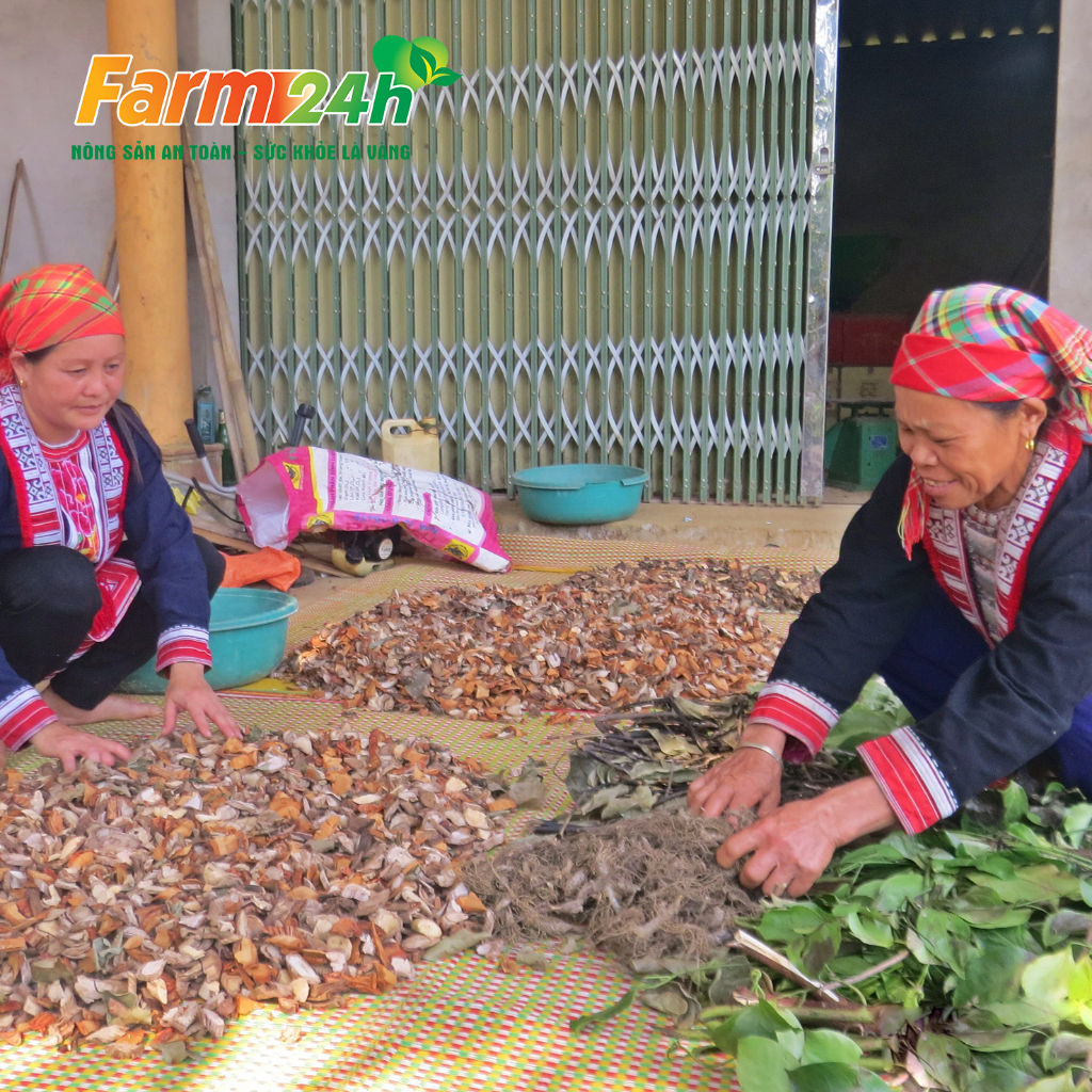 Lá tắm của người Dao đỏ Sa Pa gồm 12 vị dược liệu, phục hồi sức khỏe, lấy lại vóc dáng sau sinh I Farm24h