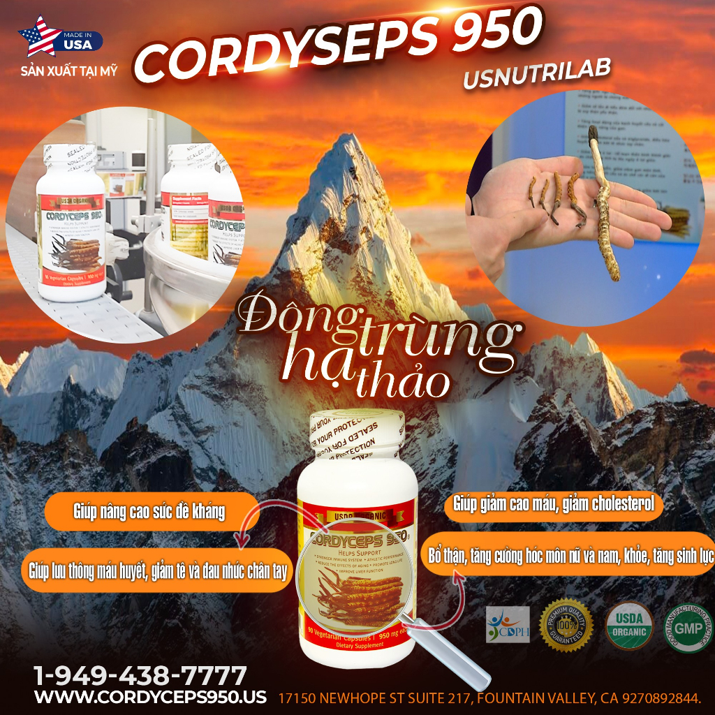 Đông trùng hạ thảo Cordyceps 950 USA 90 viên | Date 12/2025