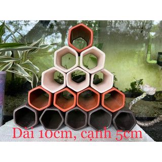 Hang gốm lục giác cho cá, tép, pleco, Crayfish, cory