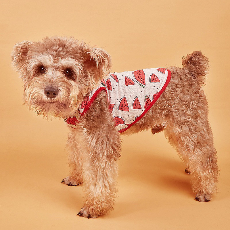 Áo Cho Chó, Áo Cho Mèo Dạng Lưới Mát Mẻ Cho Thú Cưng