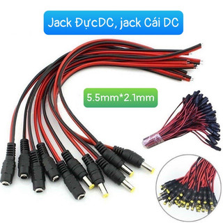 Jack đực, Jack cái DC loại tốt
