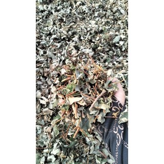 1 kg dây  hà thủ ô đỏ phơi khô
