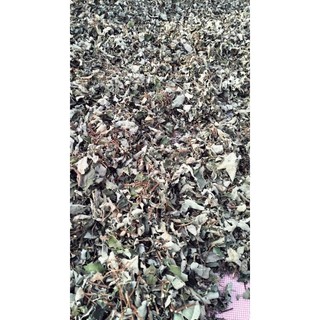 1 kg dây  hà thủ ô đỏ phơi khô
