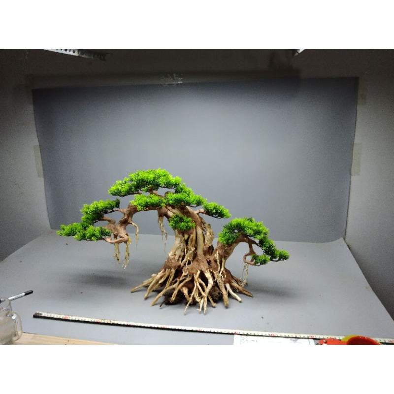 Cây gỗ lũa bonsai cho hồ kích thước lớn