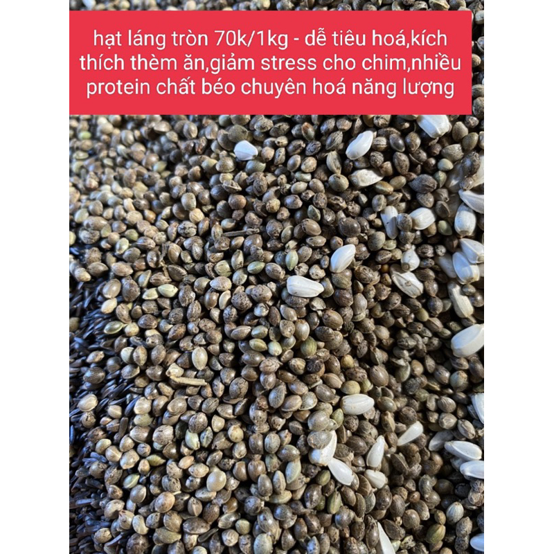 hạt láng tròn túi 1kg(70k)