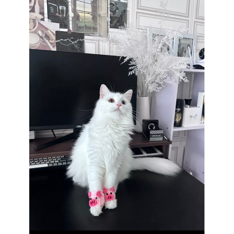 Dép len chó mèo nhiều mẫu