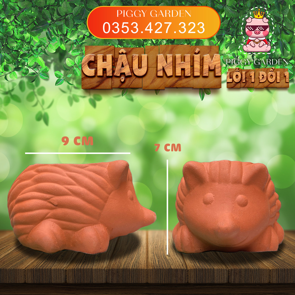Chậu đất nung - Chậu trồng sen đá, xương rồng - Chậu nhím nhỏ miệng 7x9cm, cao 7cm