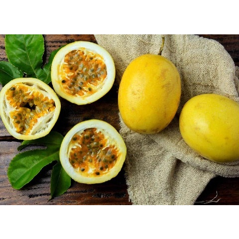 CÂY GIỐNG CHANH LEO VÀNG