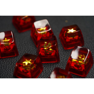 49Fzone - Keycap bàn phím cơ, Keycap artisan - Keycap Vietnam V2