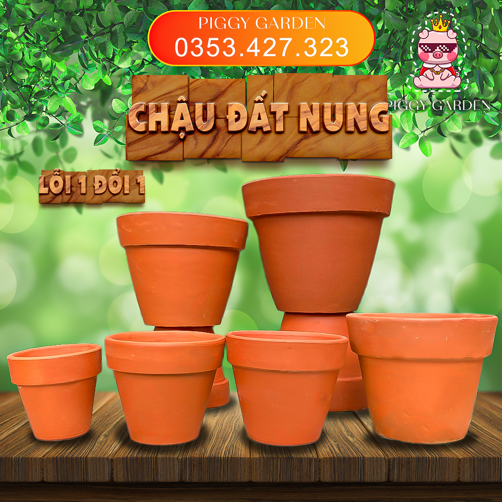 Chậu đất nung - Chậu trồng sen đá, xương rồng - Chậu đất nung mini 3cm - 11cm