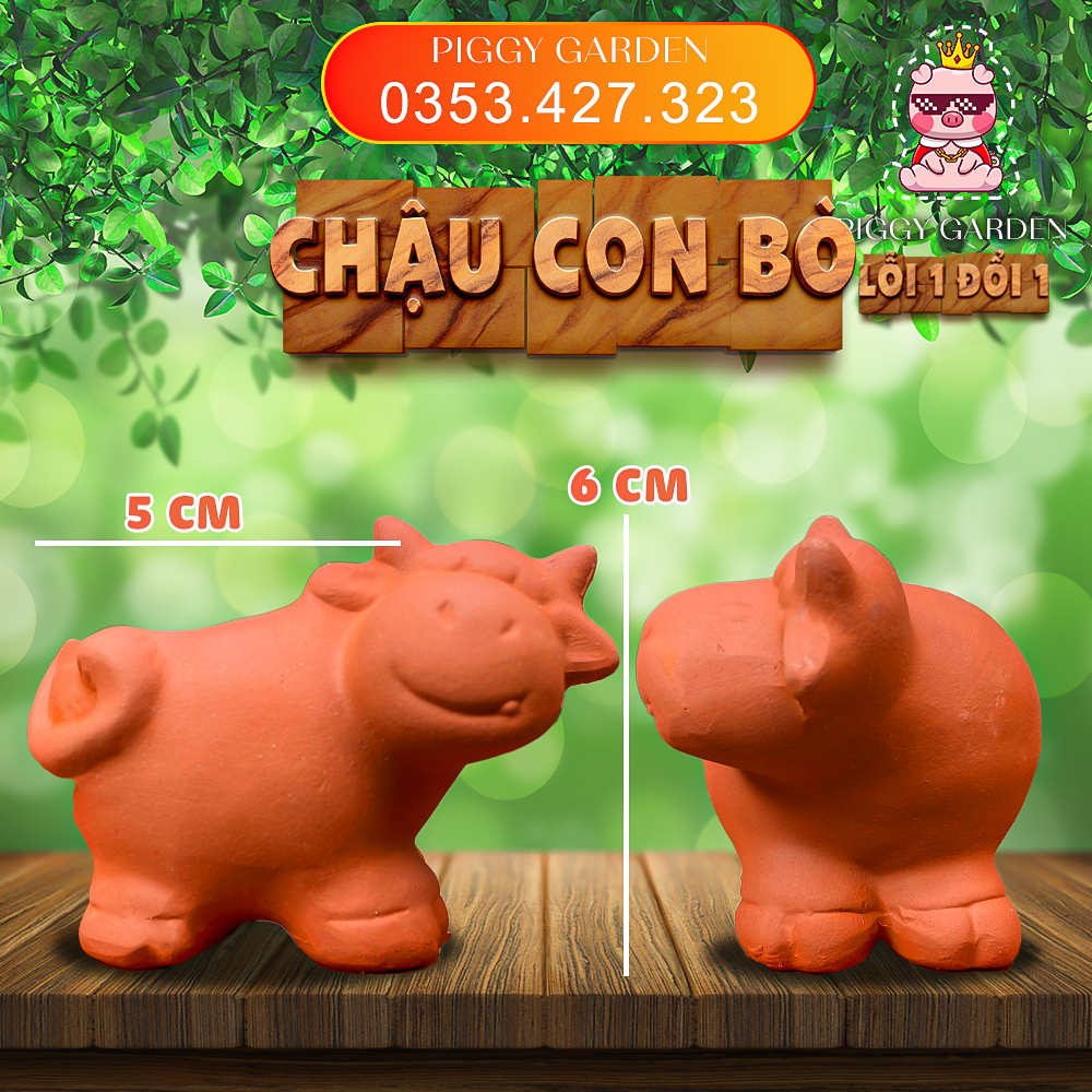 Chậu đất nung - Chậu trồng sen đá, xương rồng - Chậu bò nhí miệng 5cm, cao 6cm