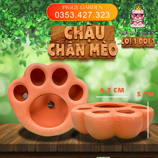 Chậu đất nung - Chậu trồng sen đá, xương rồng - Chậu chân mèo miệng 2.5 - 6.5cm, cao 5cm